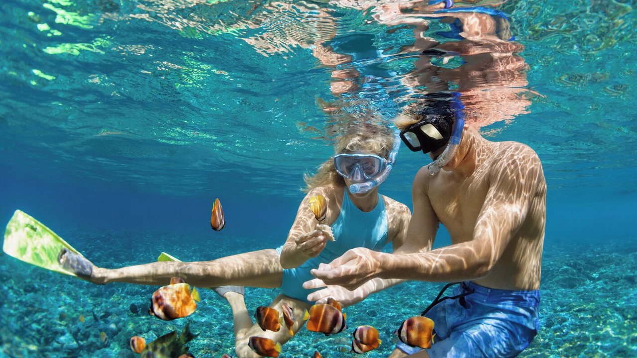 Photo of Others in Cove Murtar
