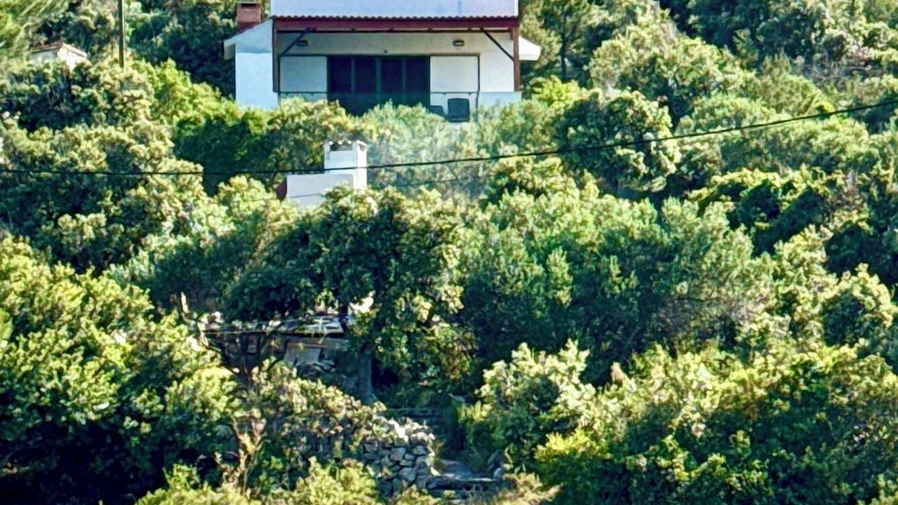 Photo of Outdoor in Veliki Drvenik