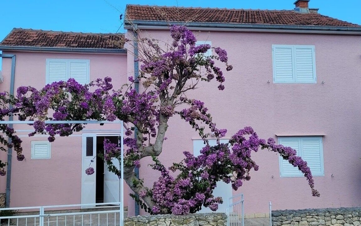 Photo of Outdoor in Mirce