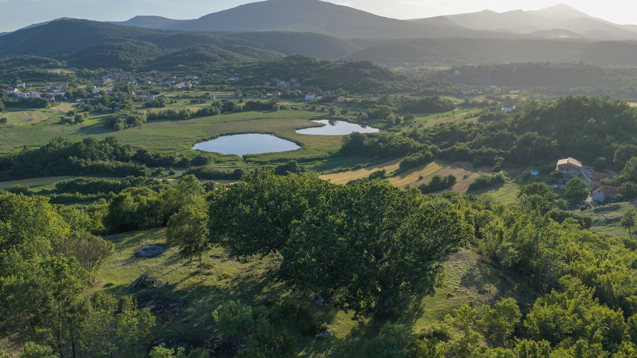 Photo of Outdoor in Citluk
