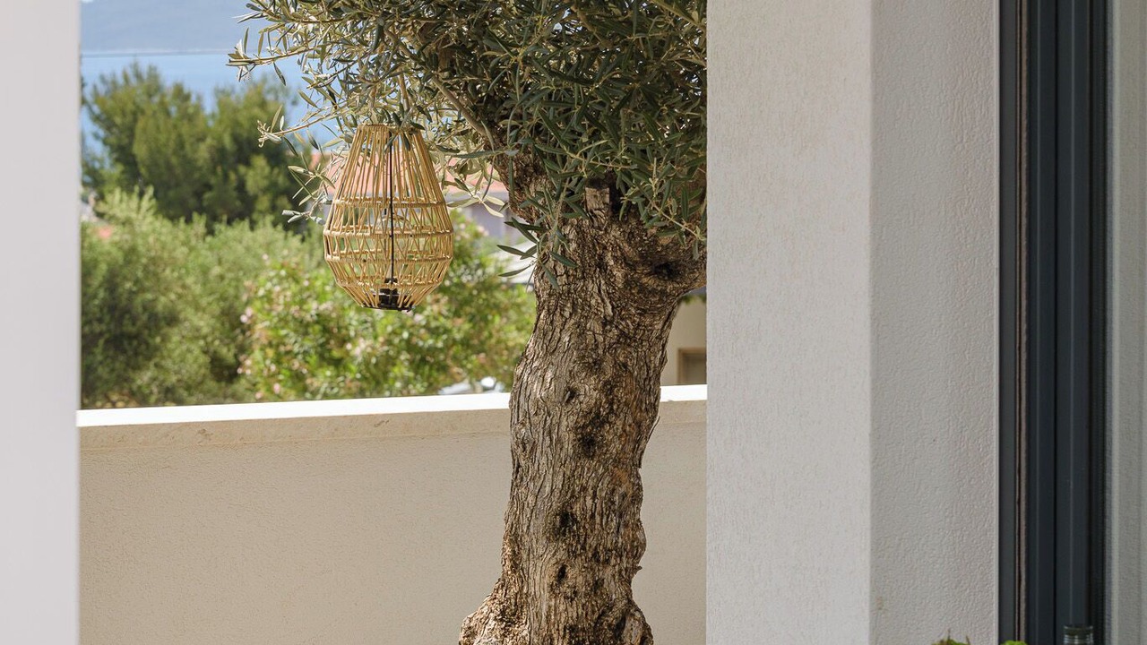 Photo of Outdoor in Businci