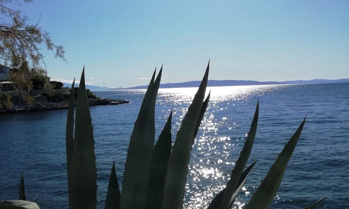 Photo of Others in Businci