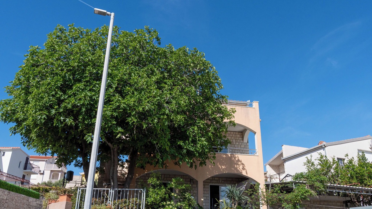 Photo of Outdoor in Businci