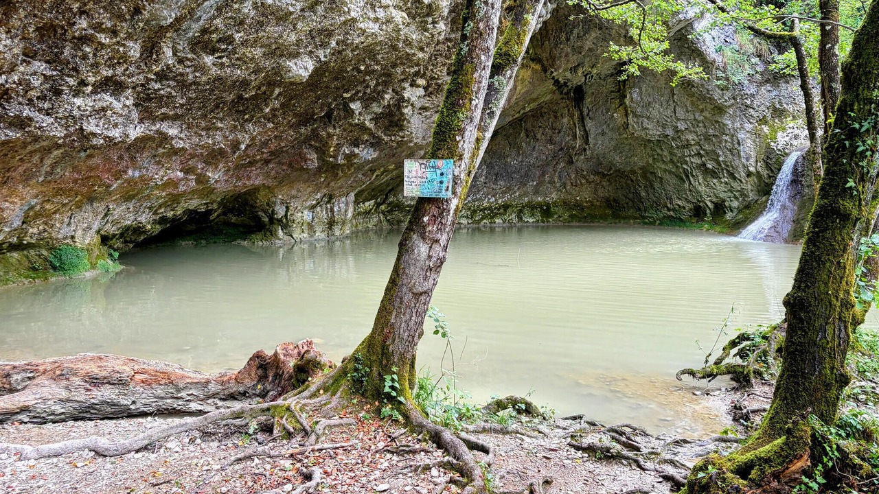 Photo of Others in Buzet