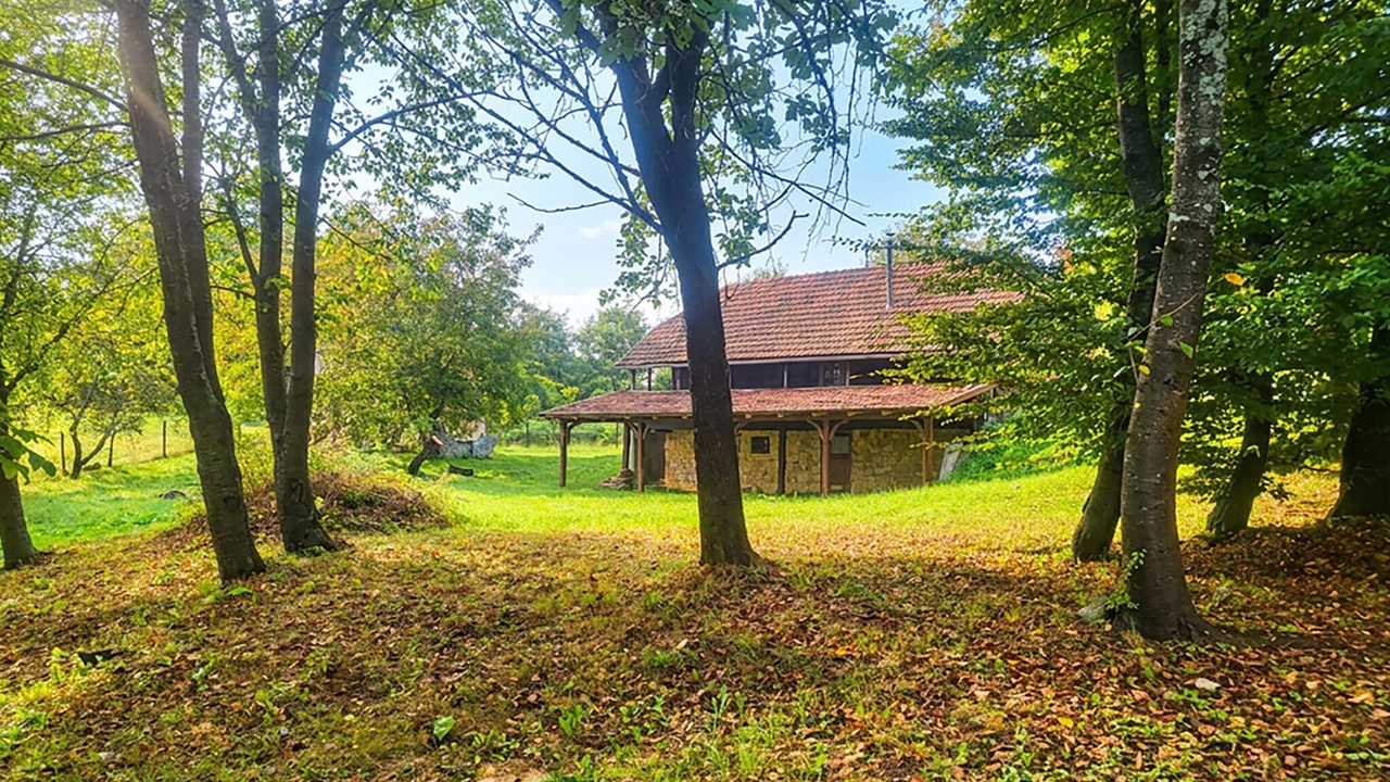 Photo of Others in Vojnic