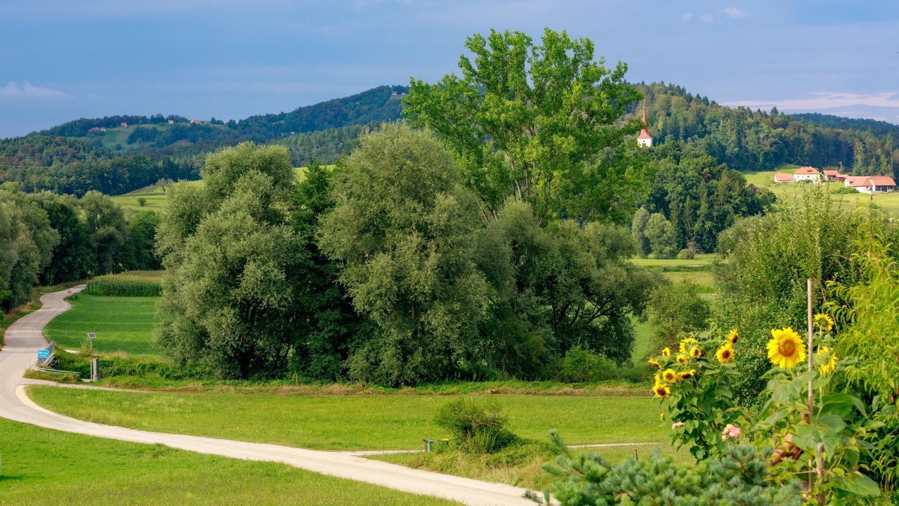 Photo of Others in Bostanj