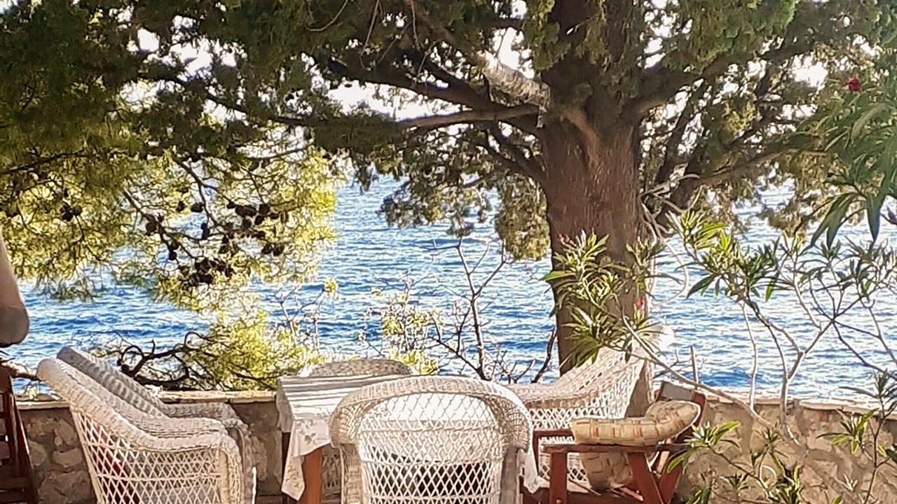 Photo of Others in Gradac