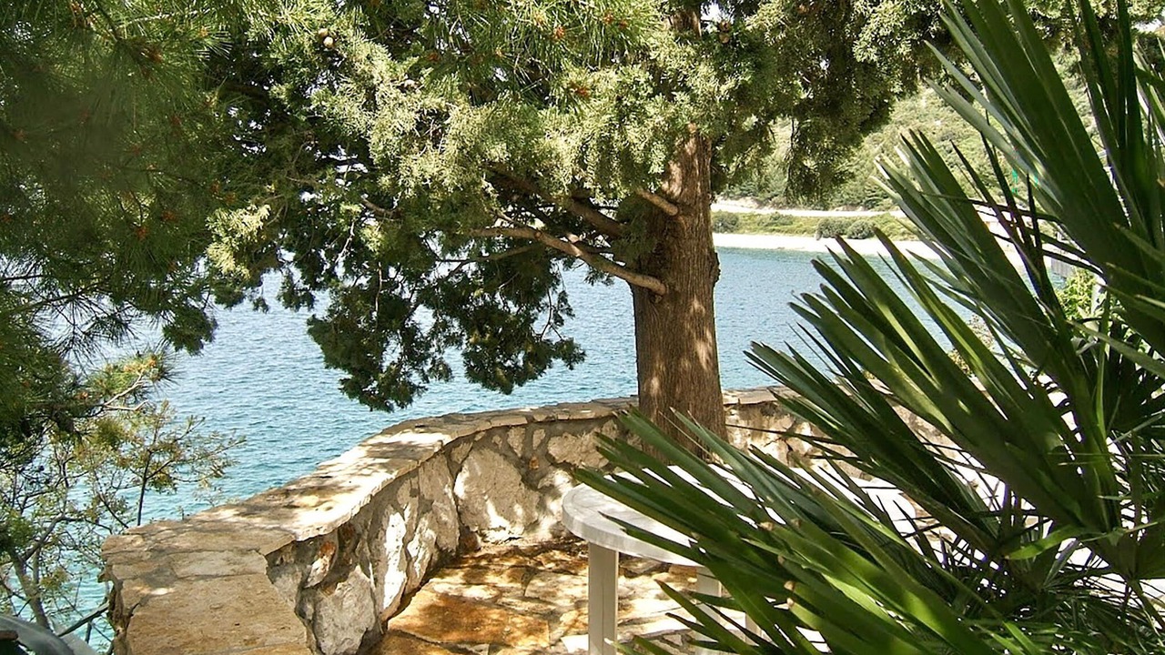 Photo of Others in Gradac