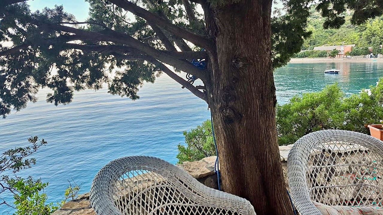 Photo of Others in Gradac