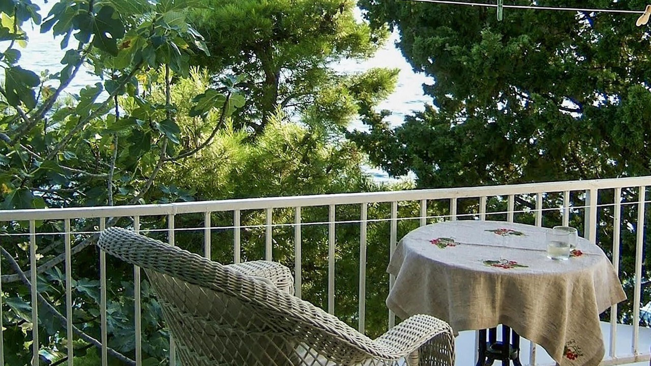 Photo of Others in Gradac