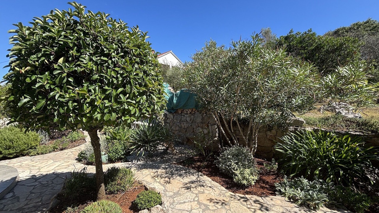 Photo of Outdoor in Lukoran
