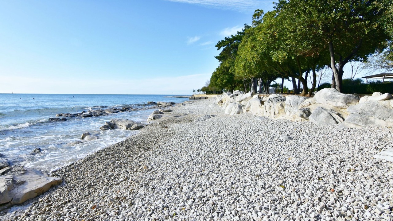 Photo of Others in Monterol