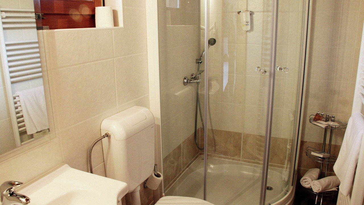 Photo of Bathroom in Ribnik