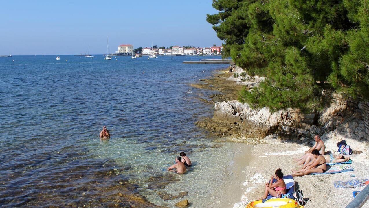 Photo of Others in Kosinozici