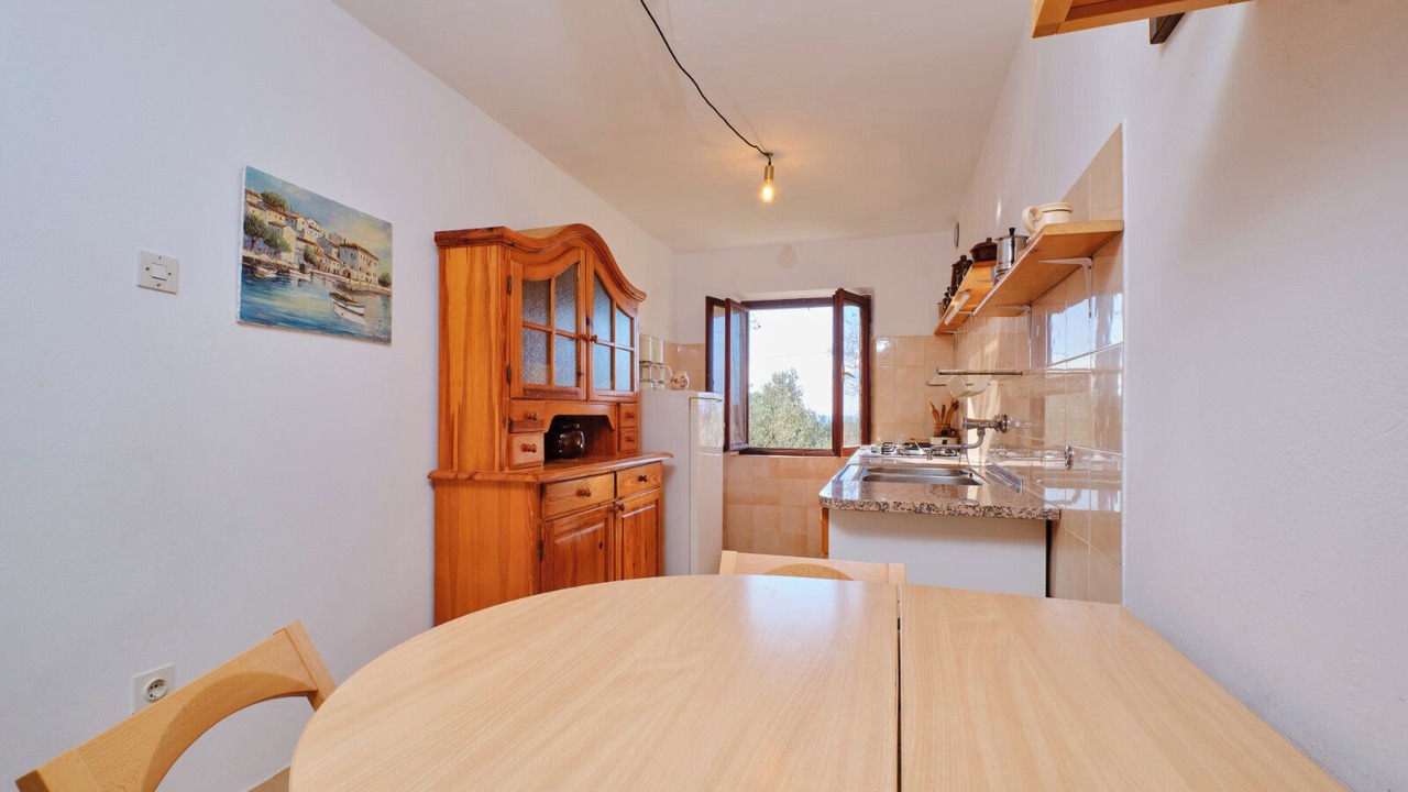 Photo of Kitchen in Martinscica