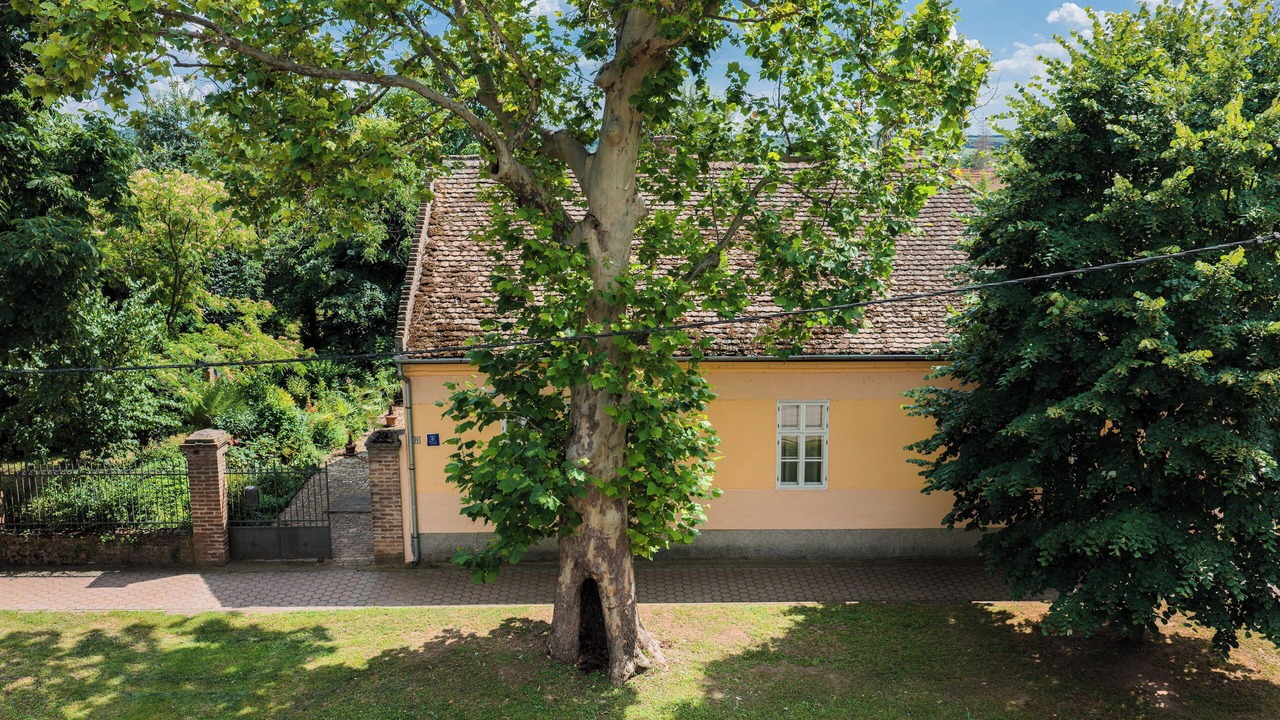 Photo of Outdoor in Ilok