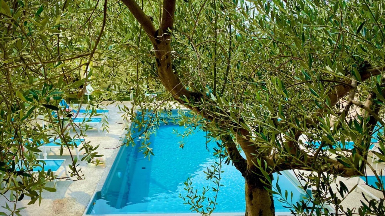 Photo of Outdoor in Slano
