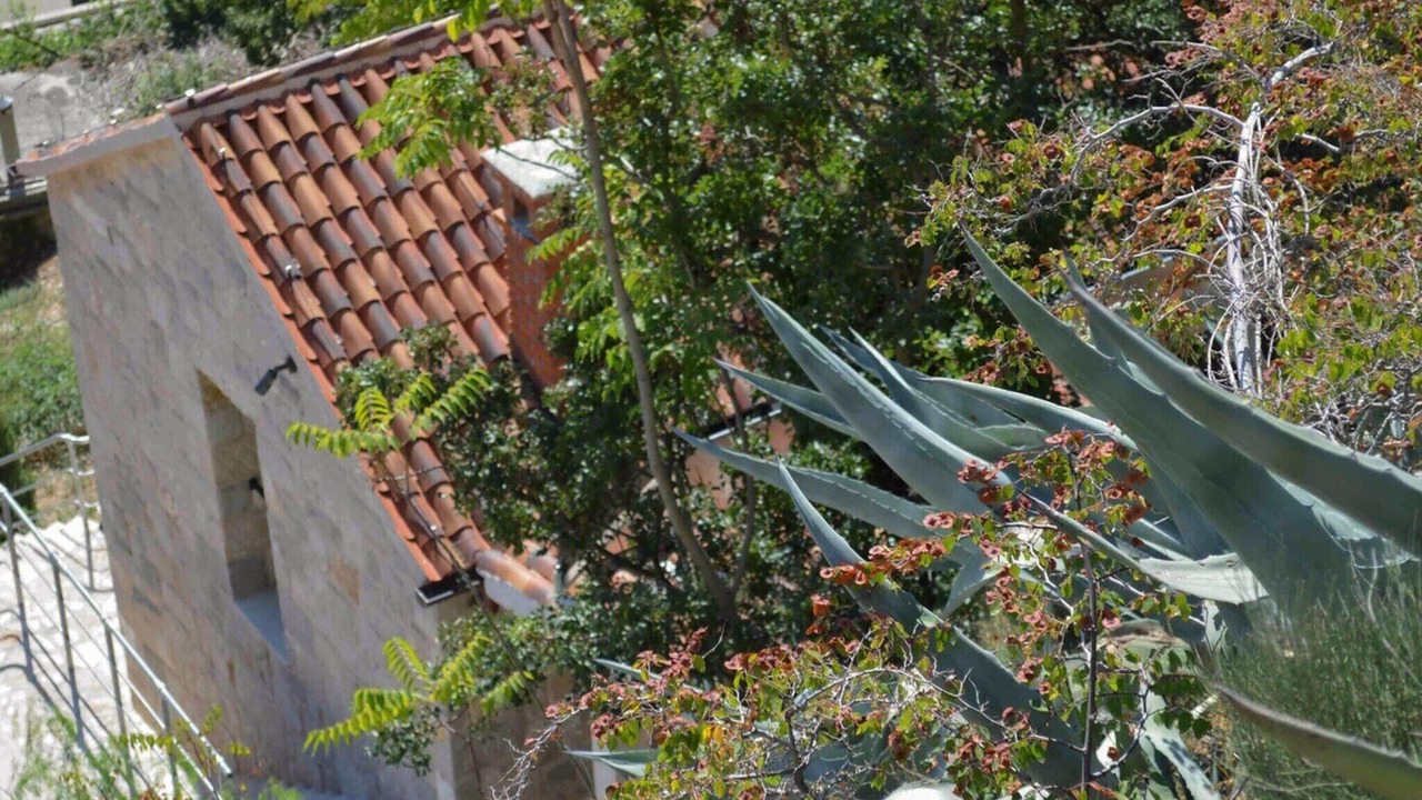 Photo of Outdoor in Borak
