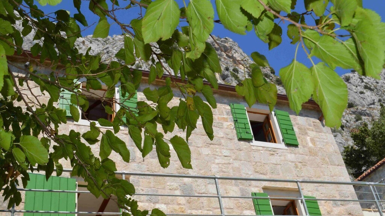 Photo of Outdoor in Borak