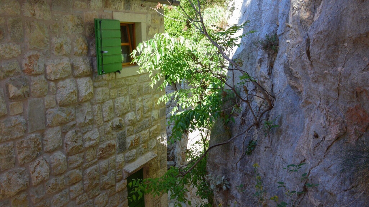 Photo of Outdoor in Borak