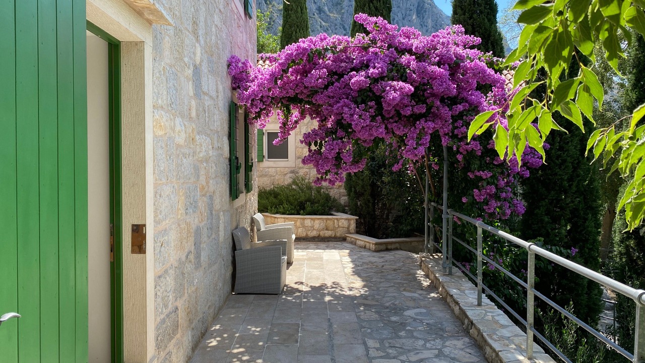 Photo of Outdoor in Borak