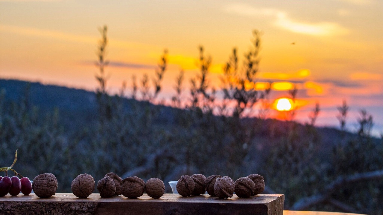 Photo of Outdoor in Splitska