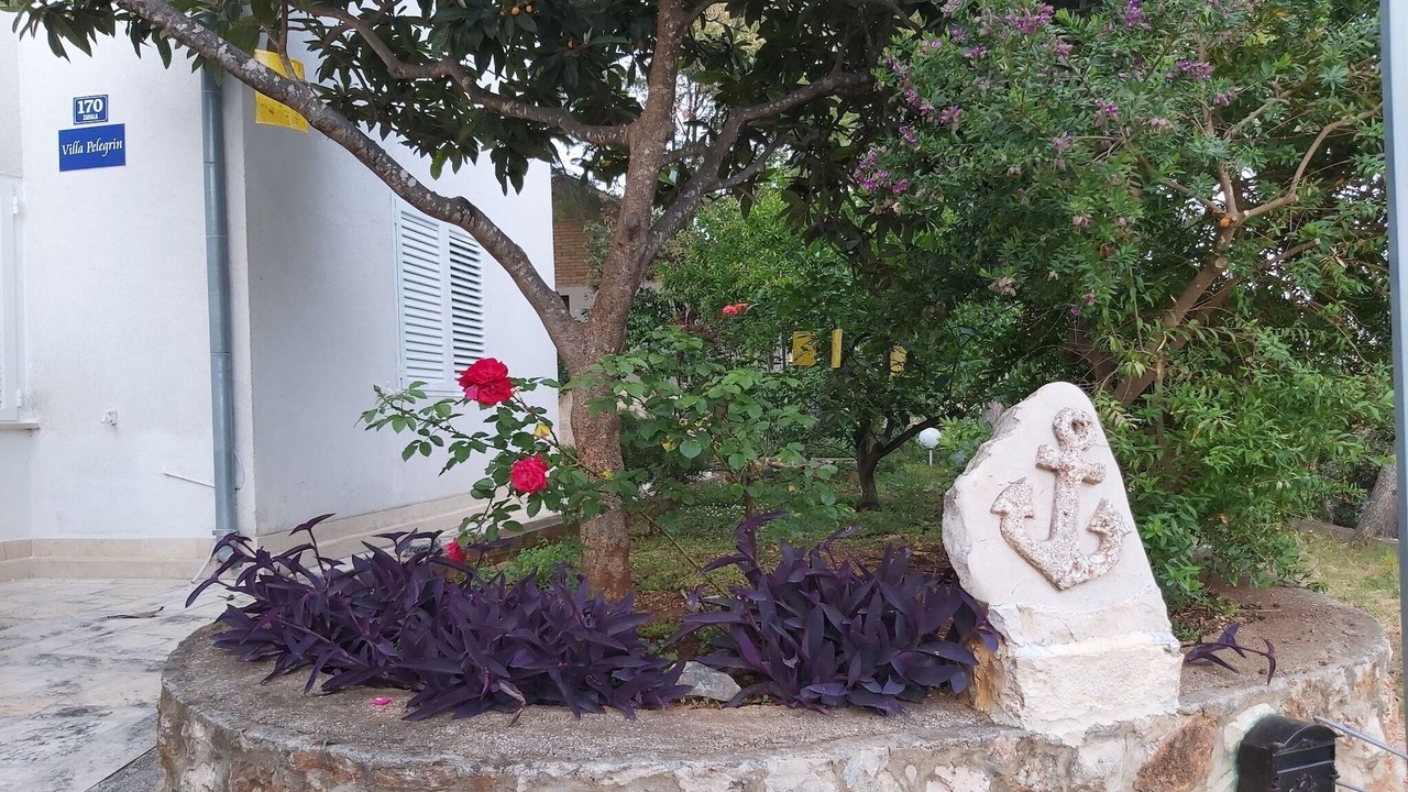 Photo of Outdoor in Zavala