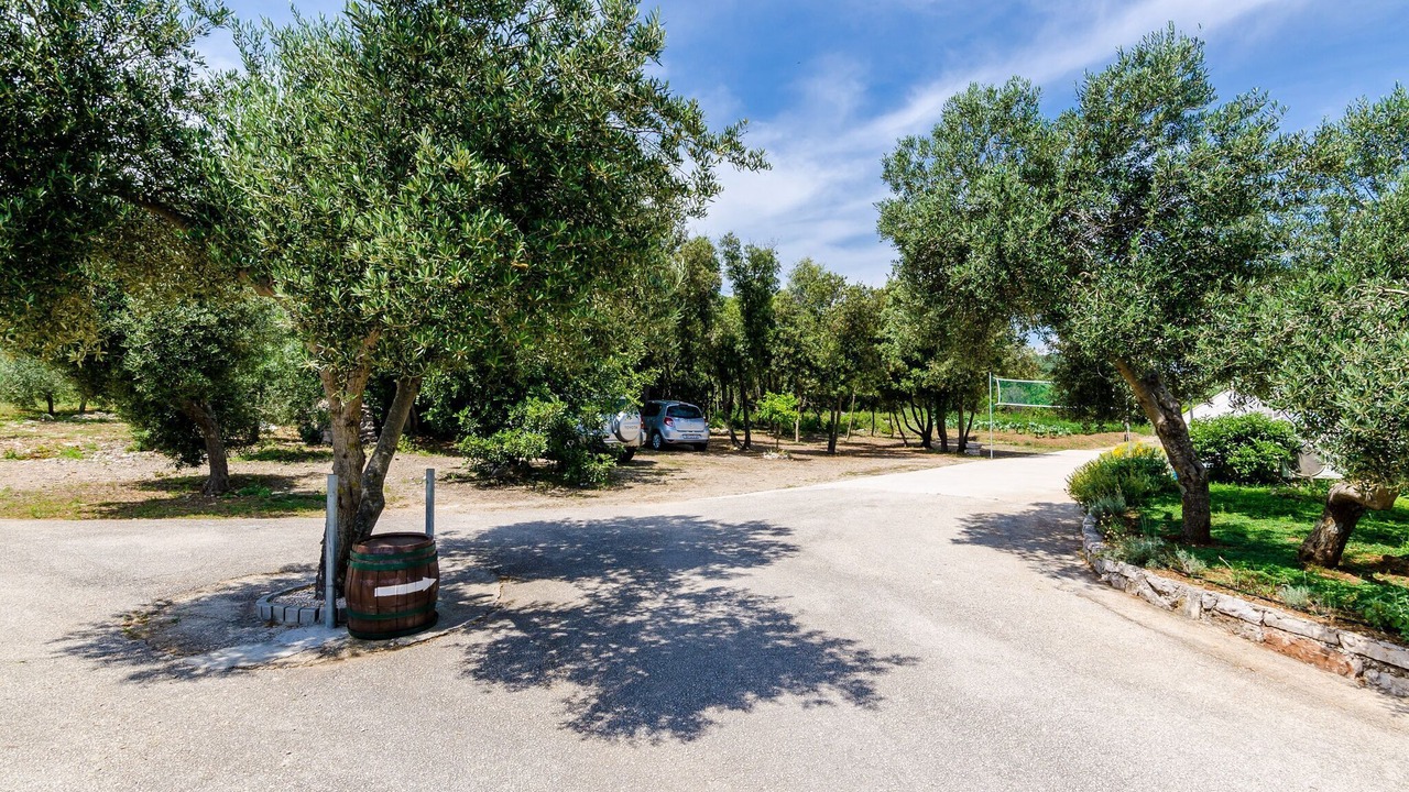 Photo of Outdoor in Drace