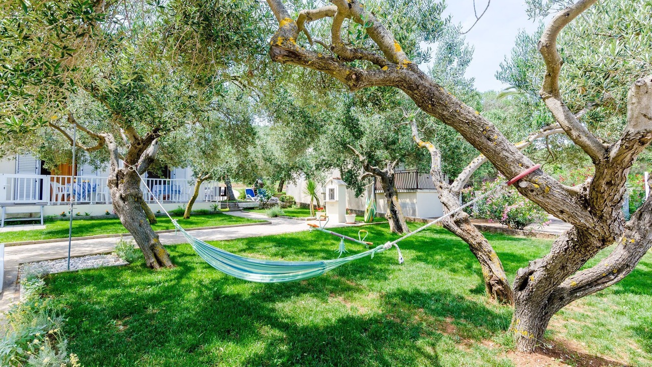 Photo of Outdoor in Drace
