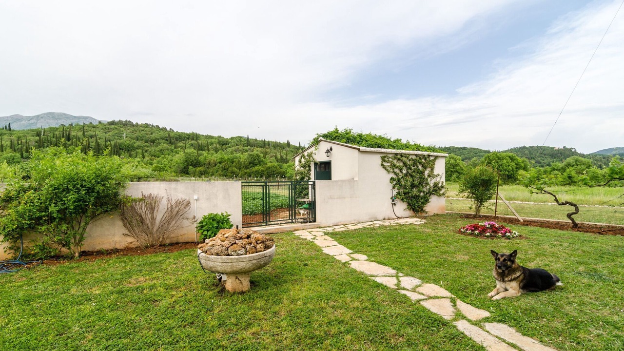 Photo of Outdoor in Popovici