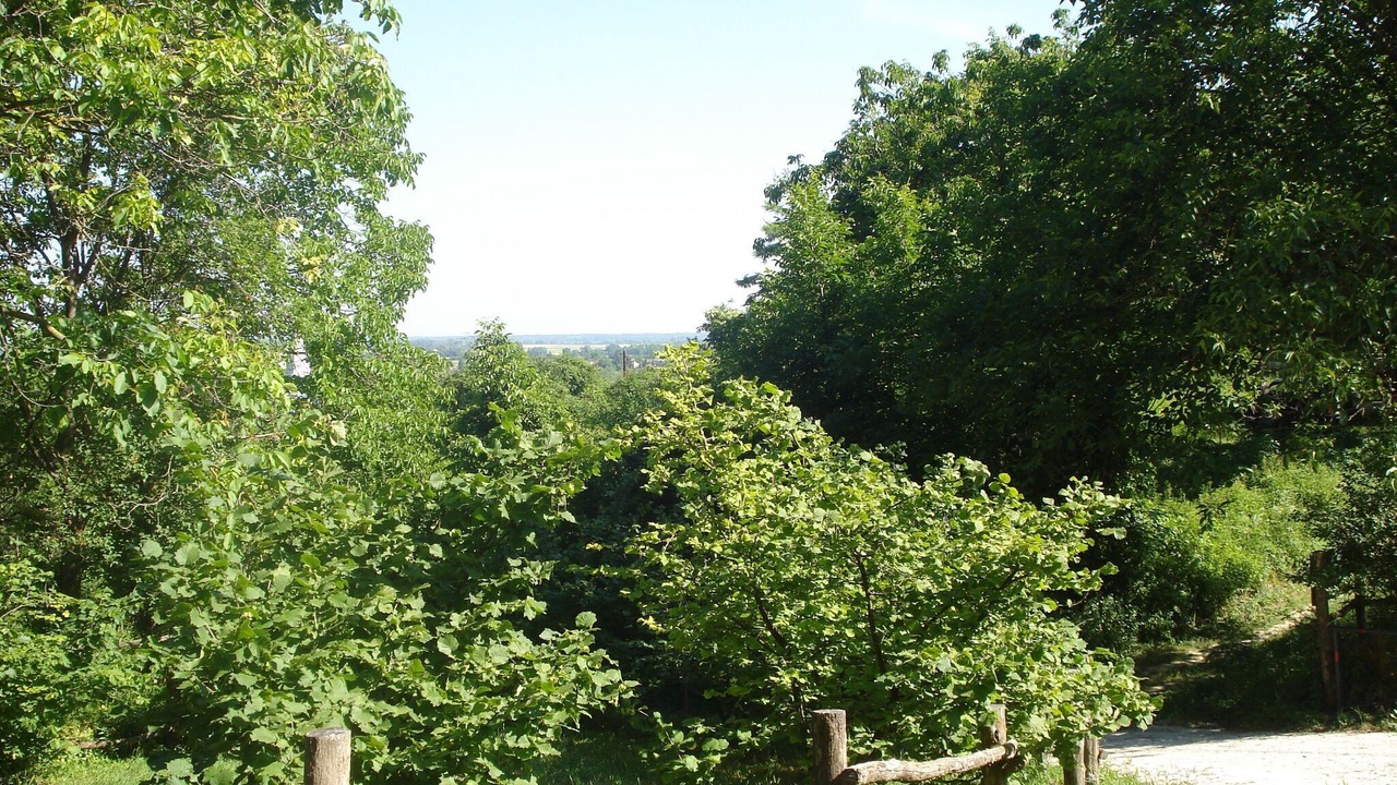 Photo of Outdoor in Draz