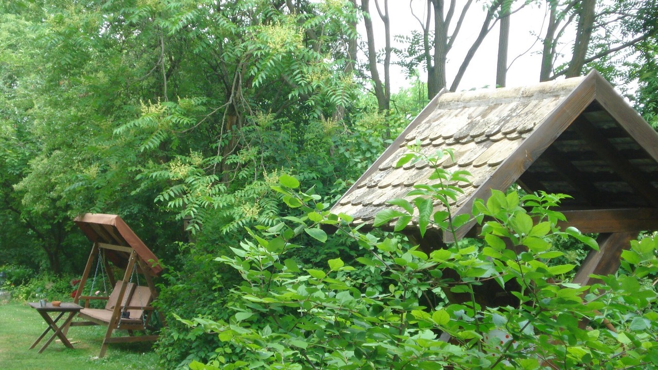 Photo of Outdoor in Draz