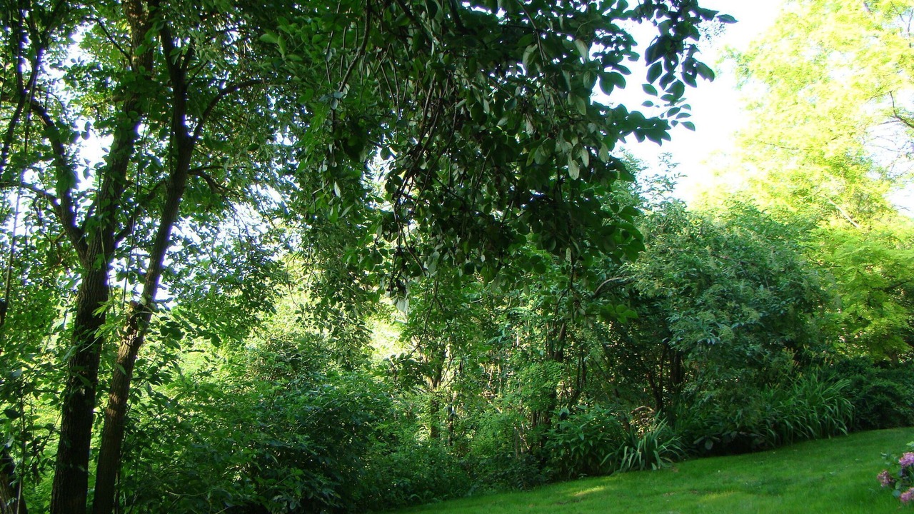 Photo of Outdoor in Draz