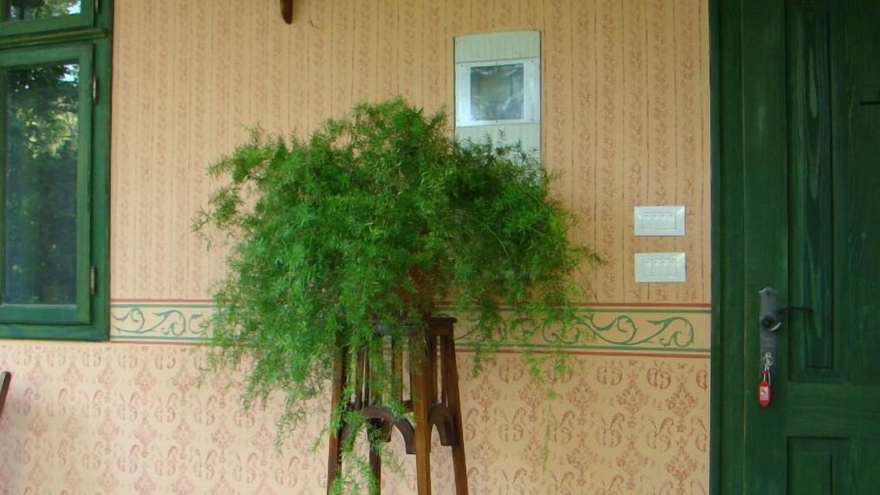 Photo of Outdoor in Draz