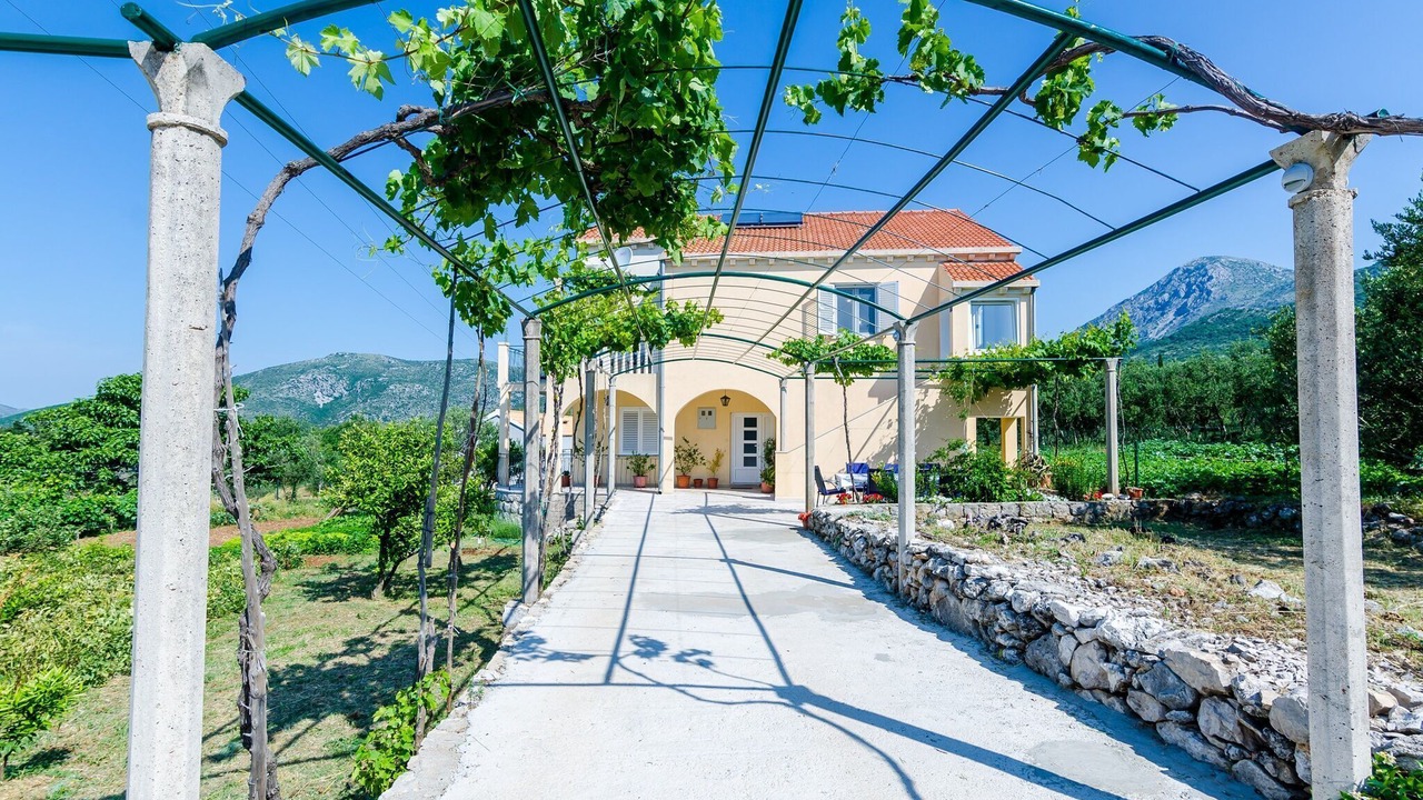 Photo of Outdoor in Banici