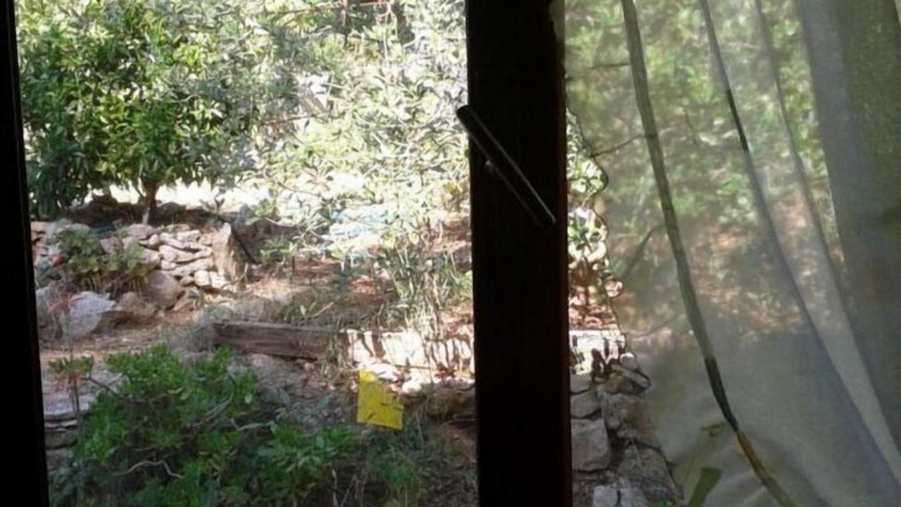 Photo of Outdoor in Maslinica