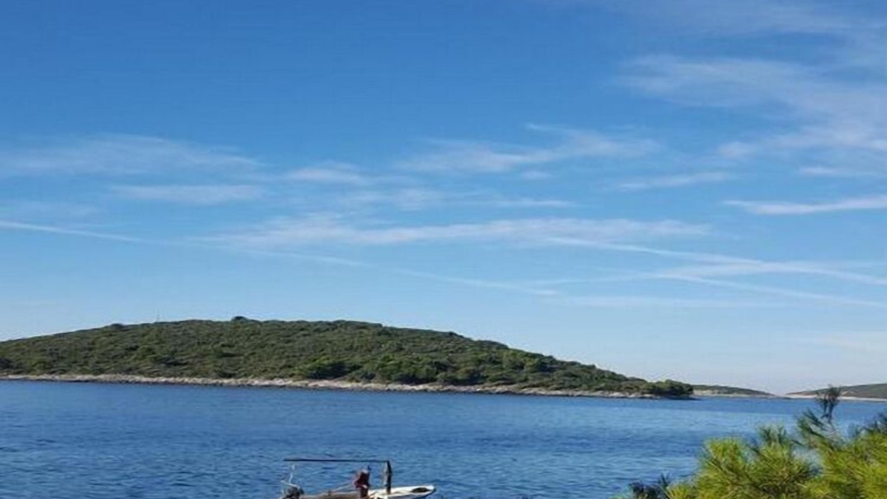 Photo of Others in Maslinica