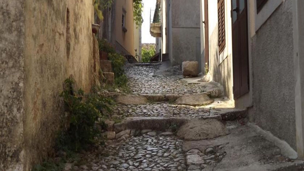 Photo of Others in Beli
