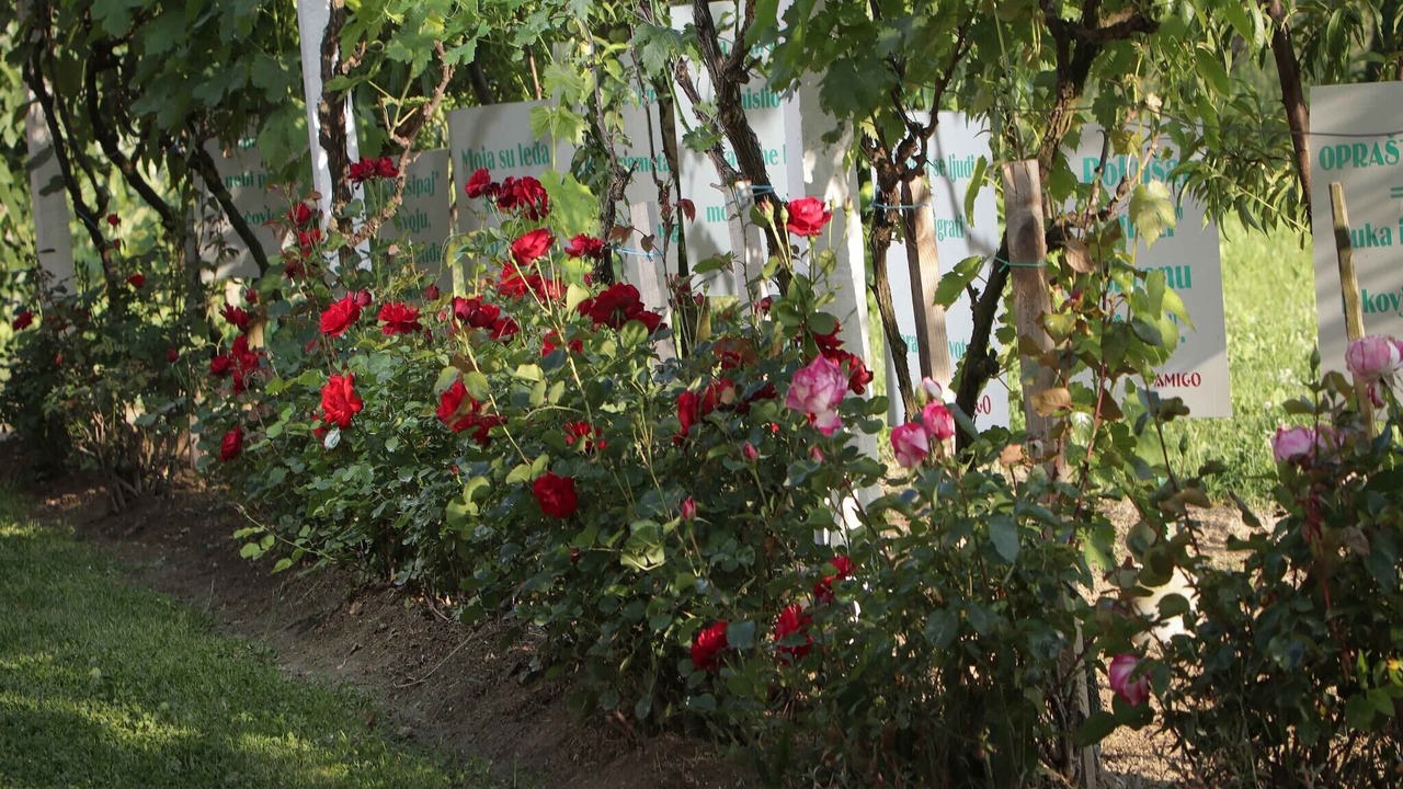 Photo of Outdoor in Durdevac