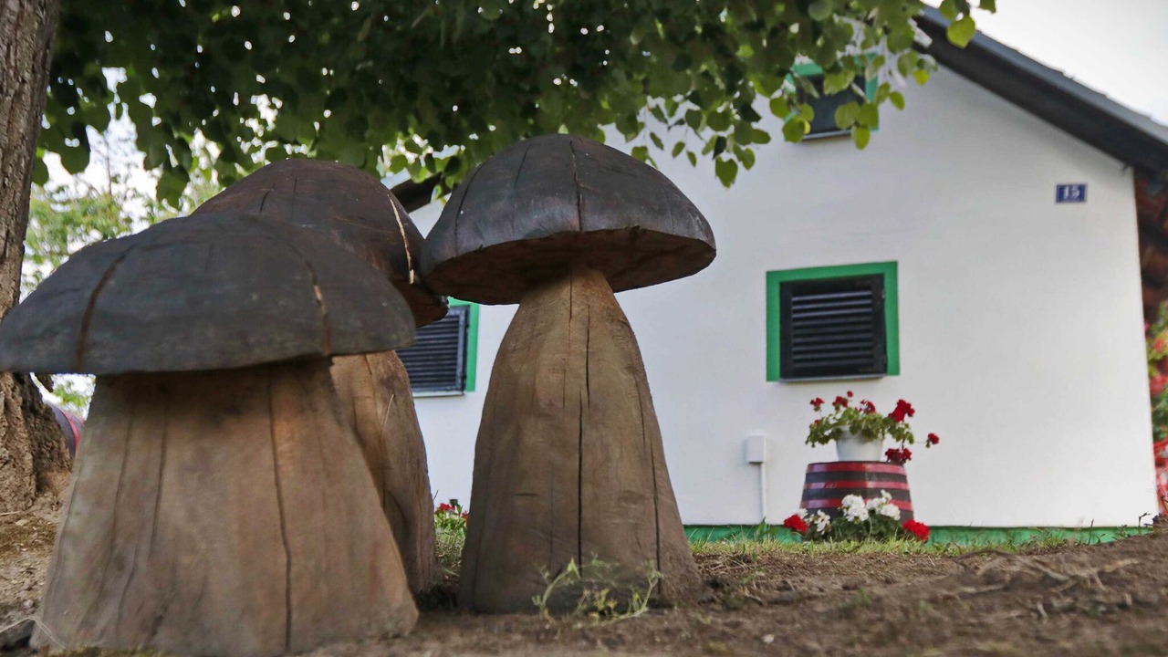 Photo of Outdoor in Durdevac