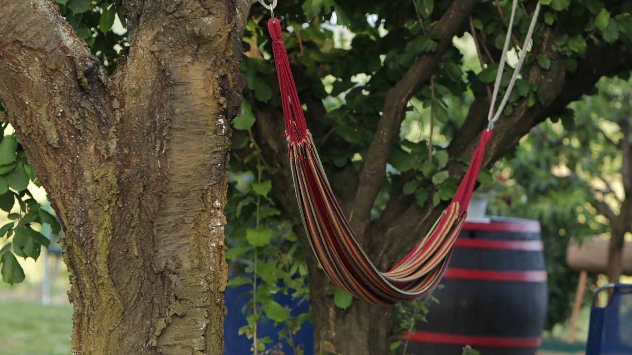 Photo of Outdoor in Durdevac