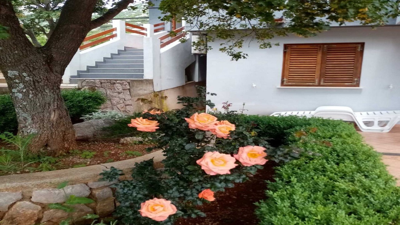 Photo of Outdoor in Cesarica