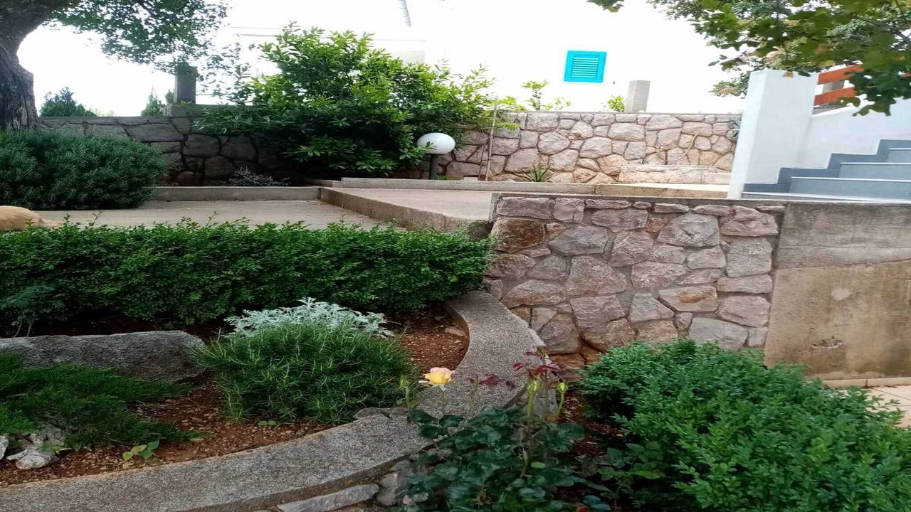 Photo of Outdoor in Cesarica