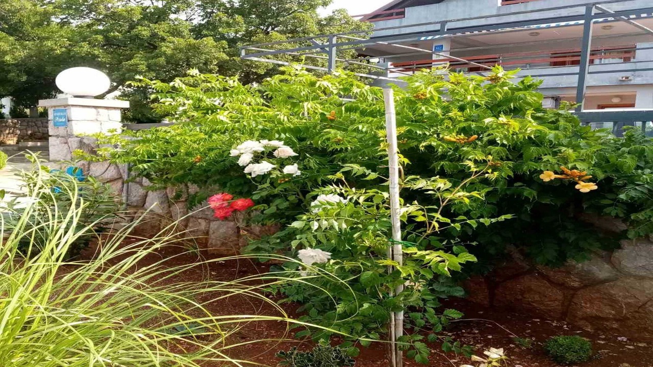 Photo of Outdoor in Cesarica