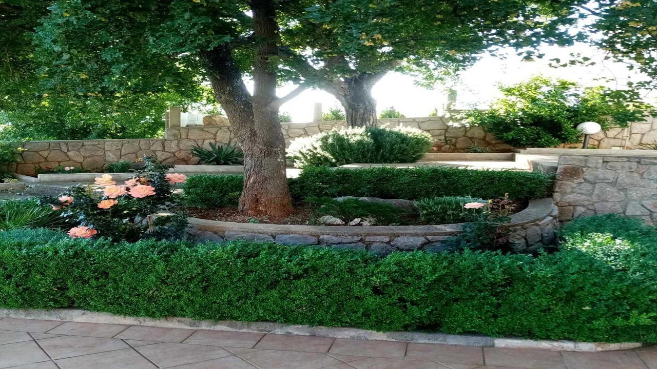Photo of Outdoor in Cesarica