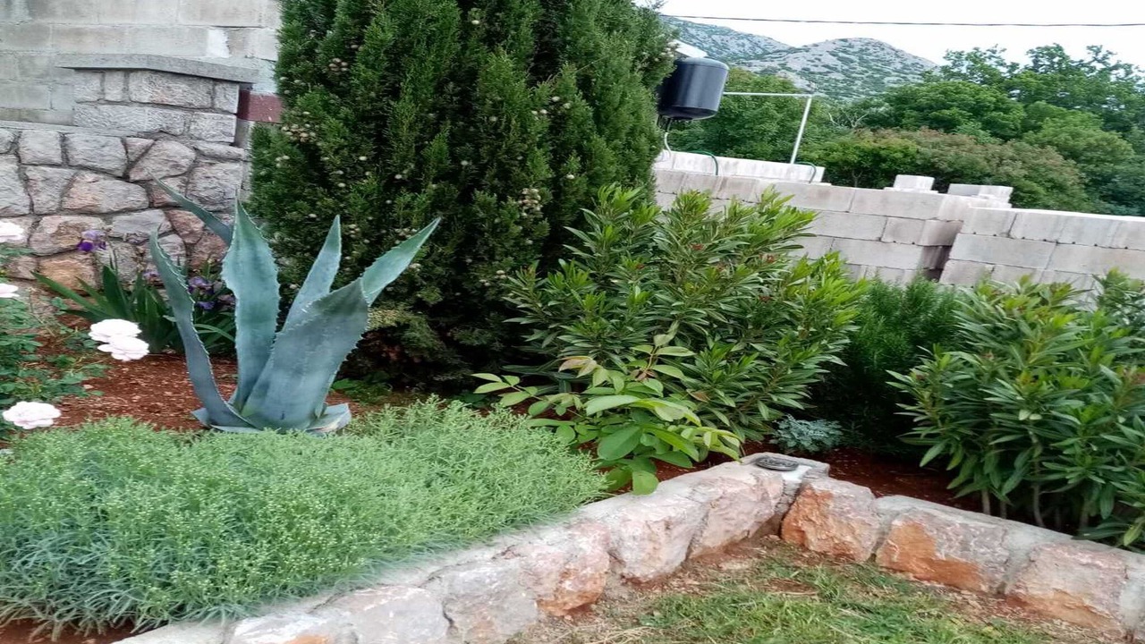 Photo of Outdoor in Cesarica