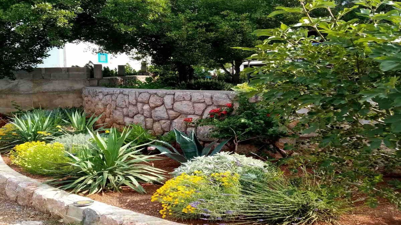 Photo of Outdoor in Cesarica