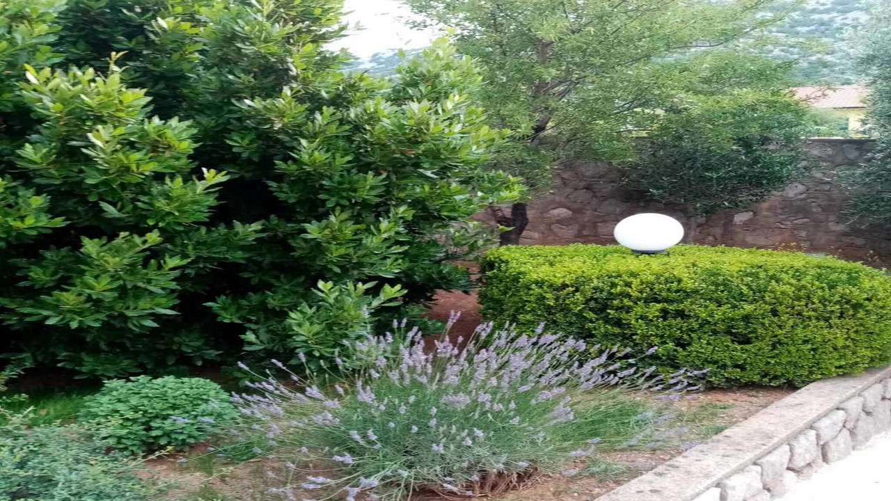 Photo of Outdoor in Cesarica