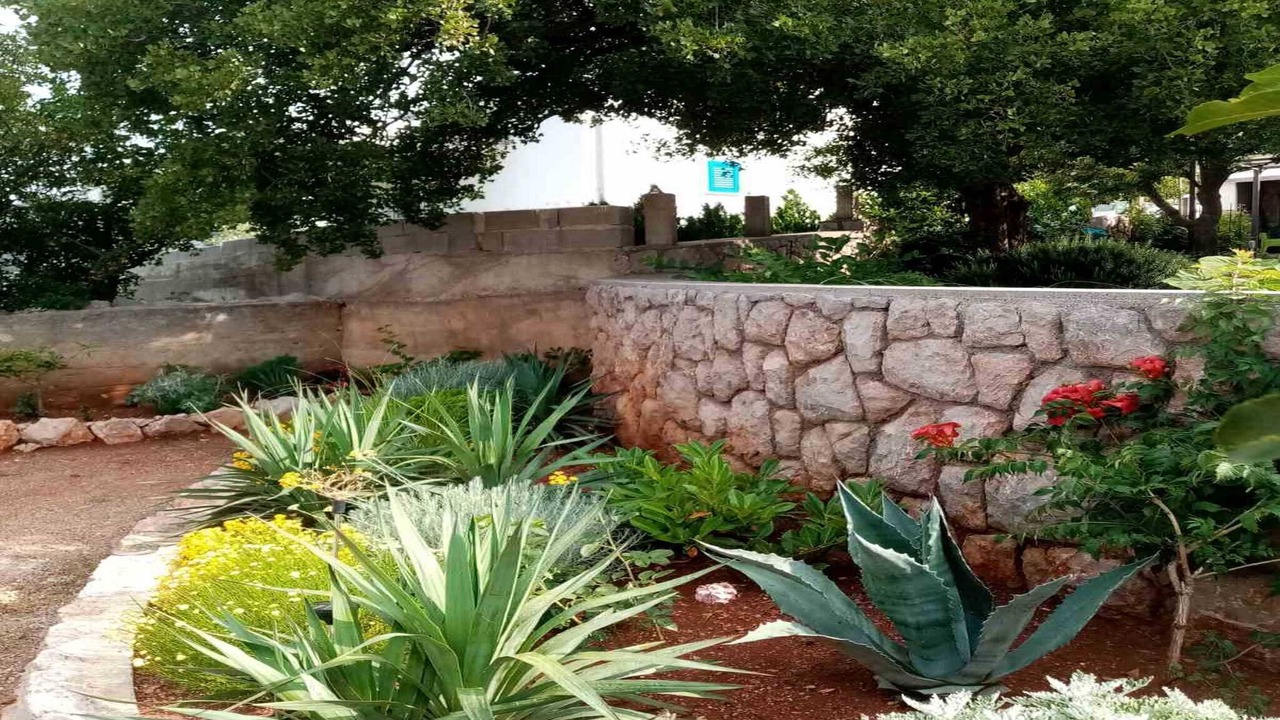 Photo of Outdoor in Cesarica