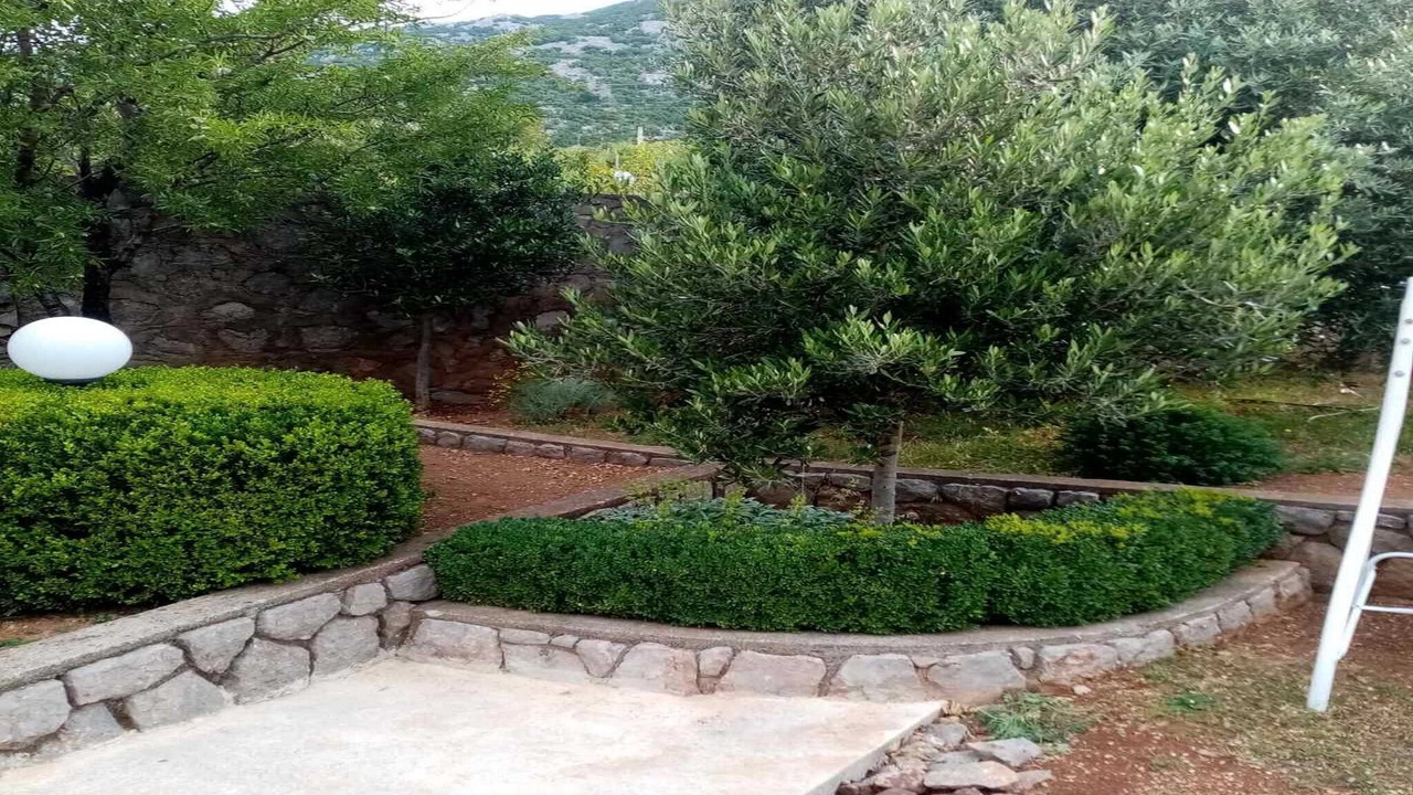 Photo of Outdoor in Cesarica